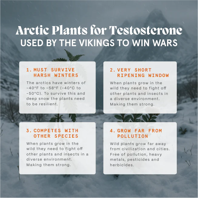 Primal Testosterone Support