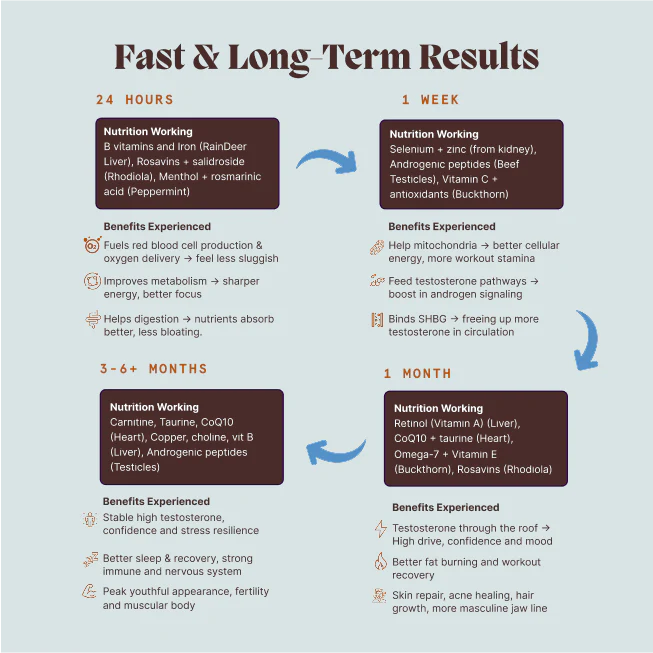 Primal Testosterone Support